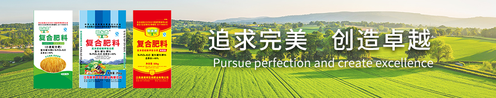 十年高端網(wǎng)站設(shè)計(jì)經(jīng)驗(yàn)